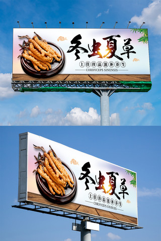 冬虫夏草设计海报模板_中国风创意冬虫夏草户外展板设计