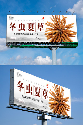 冬虫夏草设计海报模板_中国风创意冬虫夏草户外展板设计