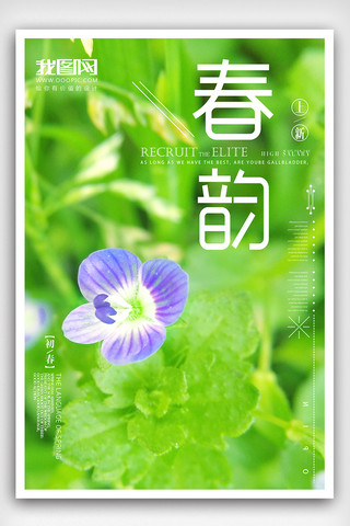 创意绿色你好春天春暖花开海报