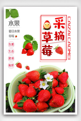 小清新草莓采摘宣传海报.psd