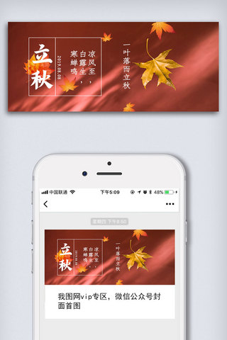简约二十四节气立秋微信公众号首图配图