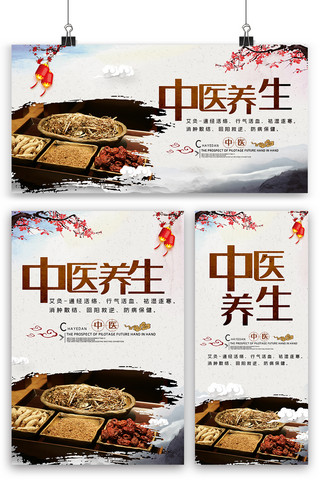 中国风水墨中医养生内容海报展板展架三件套