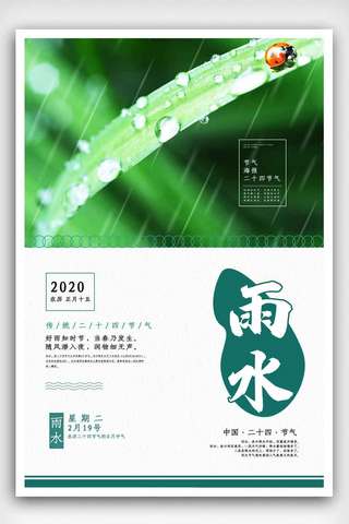 简约雅致雨水节气海报.psd