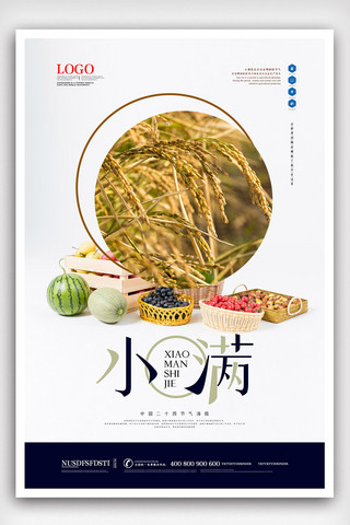 水稻稻子海报模板_创意传统二十四节气小满海报