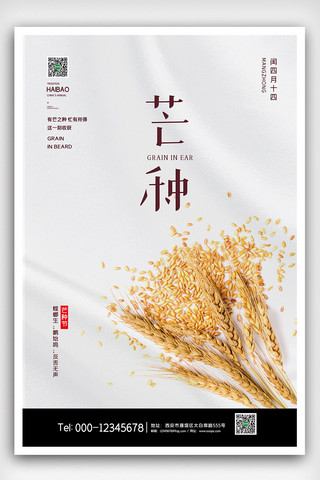传统芒种节气海报模板_2020简约中华传统芒种节气海报
