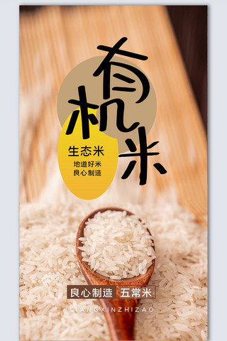 大米粮食海报模板_大米宣传设计摄影图海报