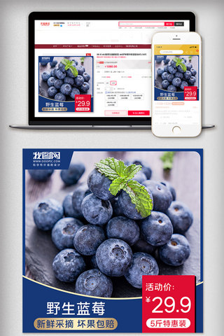 水果促销图海报模板_蓝色蓝莓水果通用促销主图