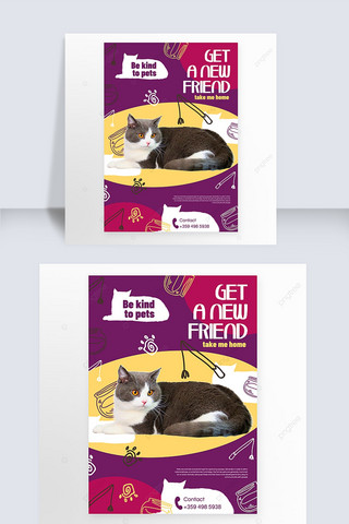 粉紫色宠物猫领养海报