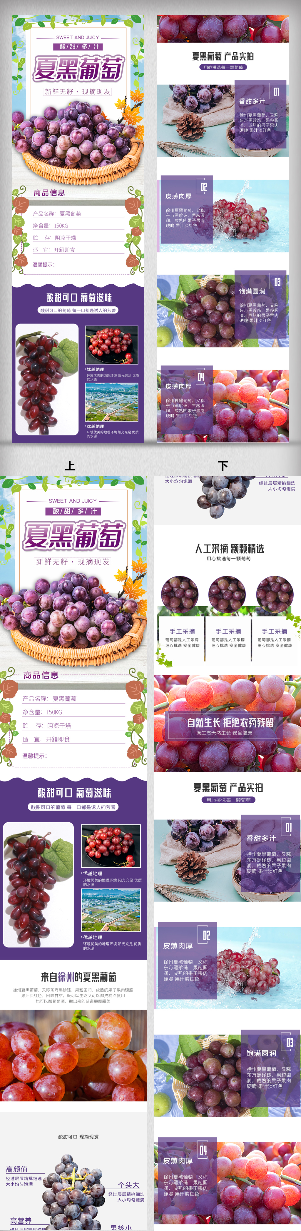 2021年紫色葡萄淘宝收集详情页模板图片