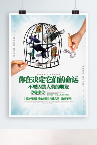 保护鸟类海报模板_野生动物保护公益宣传文化海报展板