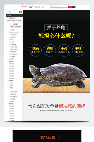 猫骑乌龟海报模板_龟粮乌龟粮食详情页面