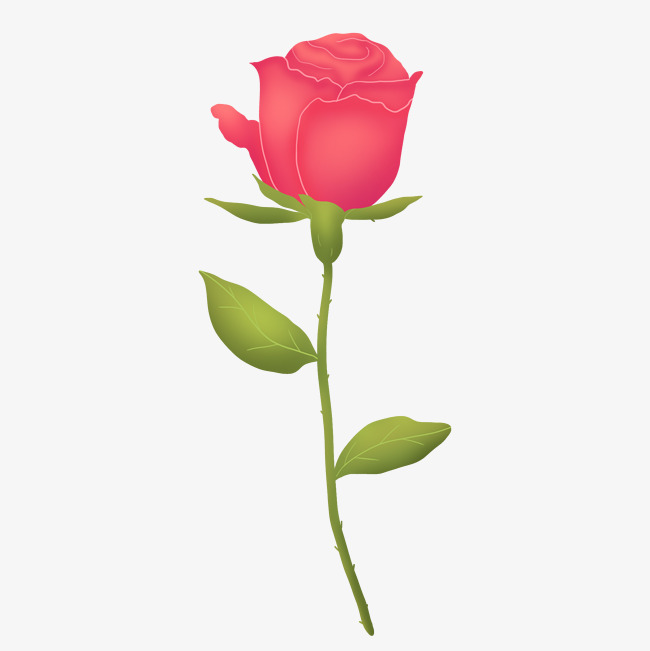 粉红色春天可爱玫瑰花素材图片免费下载_