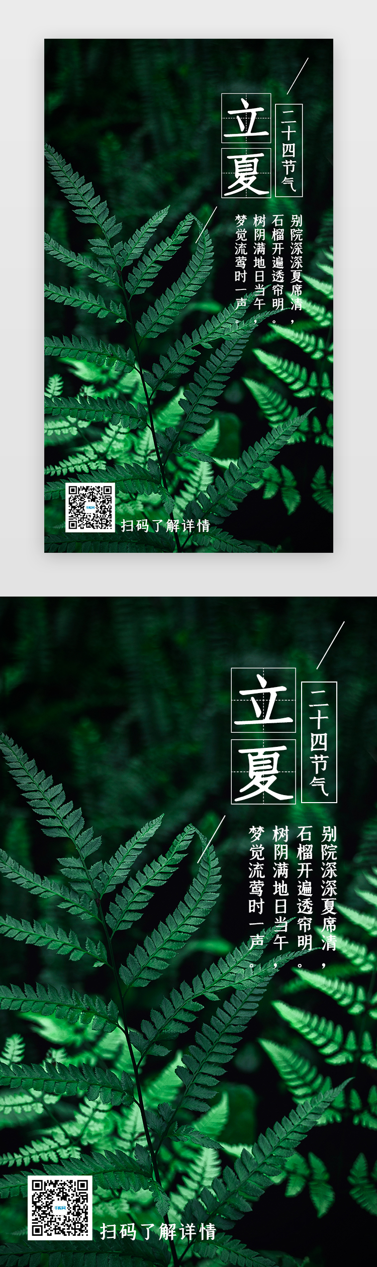 立夏手机海报写实绿色蕨类植物图片