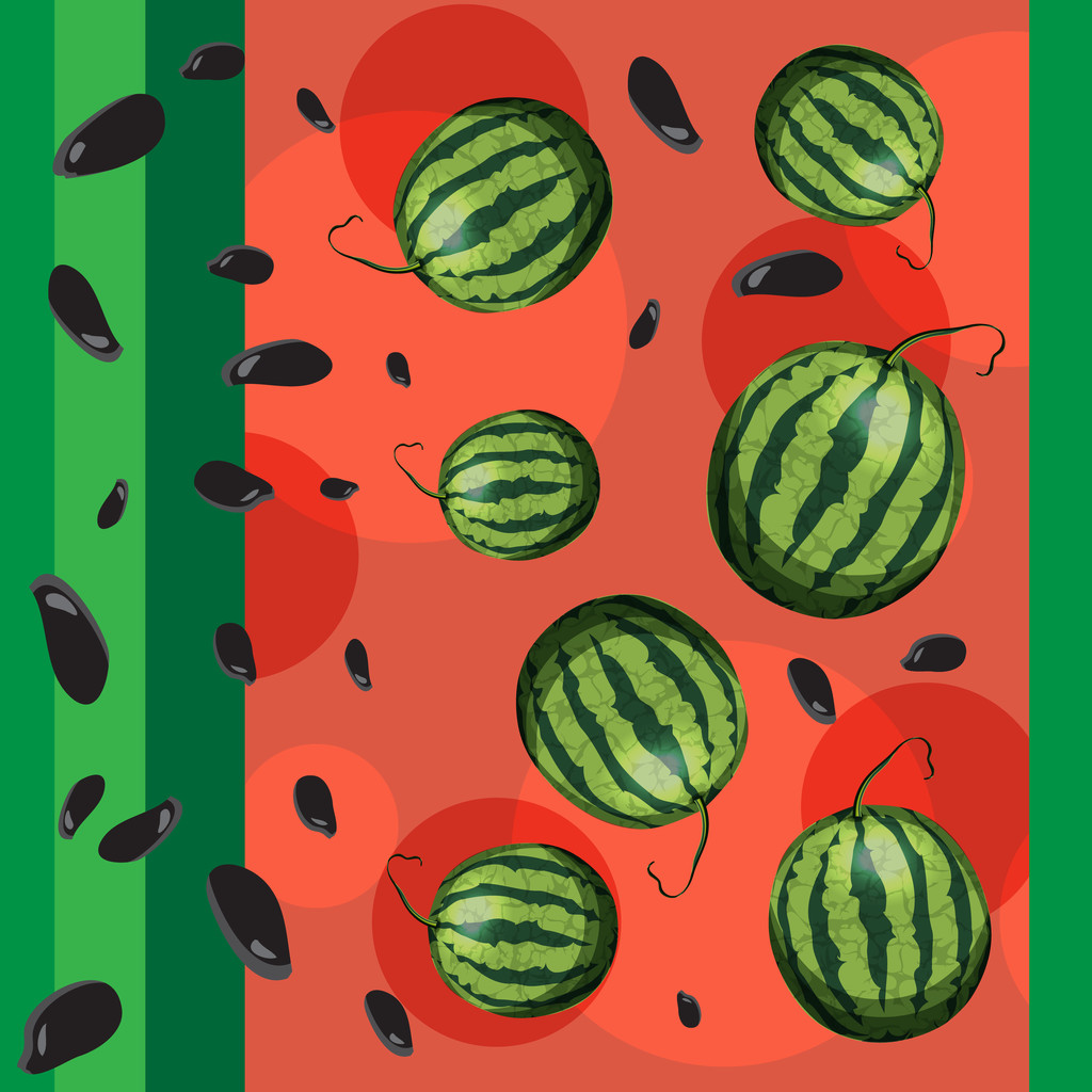 西瓜和西瓜种子.图片