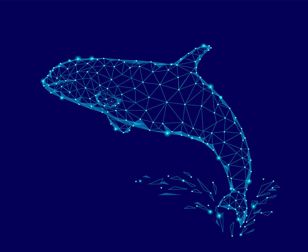 杀手鲸鱼 3d 多边形三角模型。水下海野生危险的怪物。发光的蓝色连接的点丝网 logo 水溅矢量图图片