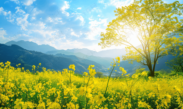 婺源油菜花山光春色