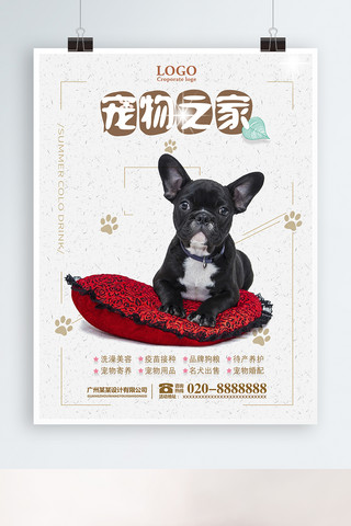 2018年简约米黄色宠物促销海报