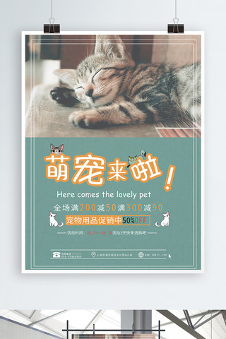 招生宣传单海报模板_小清新宠物促销海报