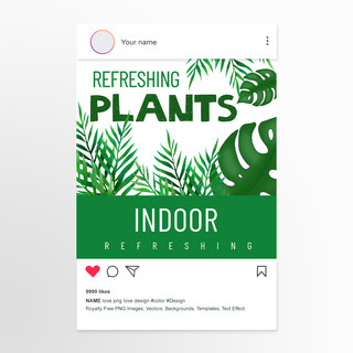 植物花草清新植物海报模板_简约清新风格室内装修绿色花草植物社交媒体帖子