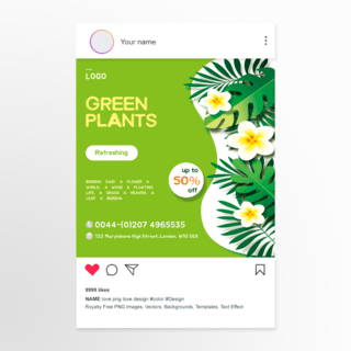 绿色植物 social media post