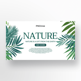 自然元素海报模板_棕榈叶元素自然模板设计