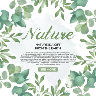 绿植元素海报模板_白色背景创意绿叶元素自然模板设计