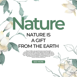 自然元素海报模板_白色花朵元素自然模板设计