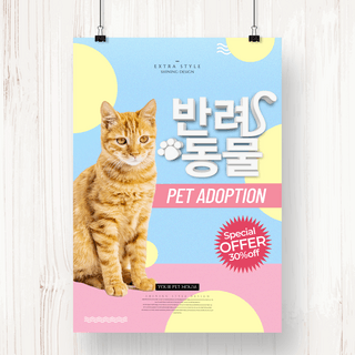 宠物时尚海报模板_时尚色彩宠物猫寄样海报