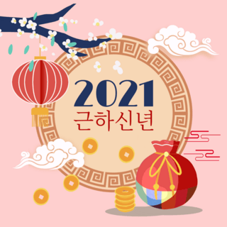 福袋新年快乐海报模板_时尚粉色韩国新年社交媒体