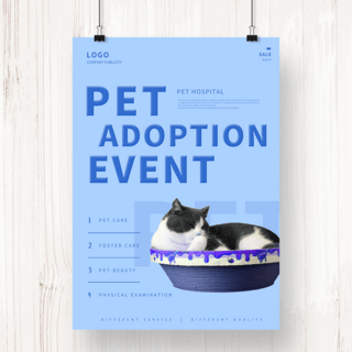 蓝色宠物猫咪收养活动海报