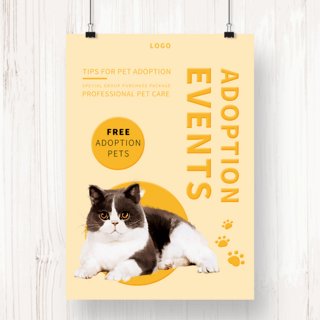 黄色宠物猫咪收养宣传海报