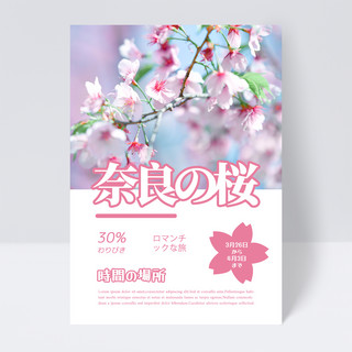 春天公园海报模板_白色质感日本春天郊游赏樱花传单模板