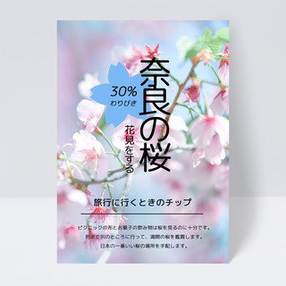 春天公园海报模板_质感简约日本春天郊游赏樱花传单