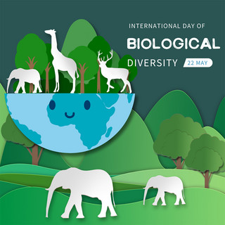 生物多样性海报模板_绿色卡通创意拼接国际生物多样性日媒体社交模板