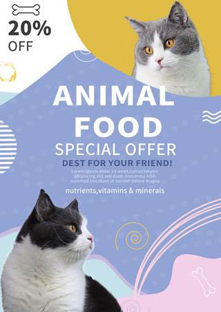 彩色柔软小猫粮食宣传模版
