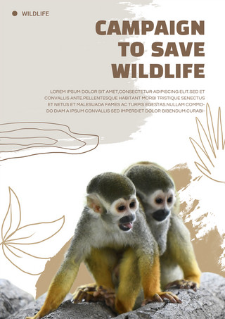 动物保护宣传海报海报模板_简约保护野生动物宣传海报模板