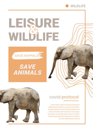 动物保护宣传海报海报模板_白色简约保护野生动物宣传海报模板