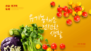 香菜食材海报模板_橙色质感有机蔬菜横幅
