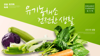 新鲜青菜海报模板_绿色质感有机蔬菜横幅