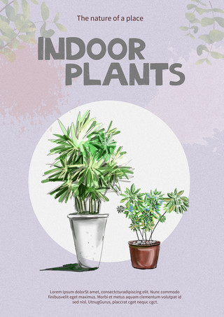 花盆海报模板_室内夏季花盆植物家装模板