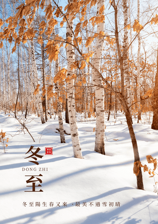 冬日树木海报模板_枫叶雪景冬至节气摄影图宣传海报