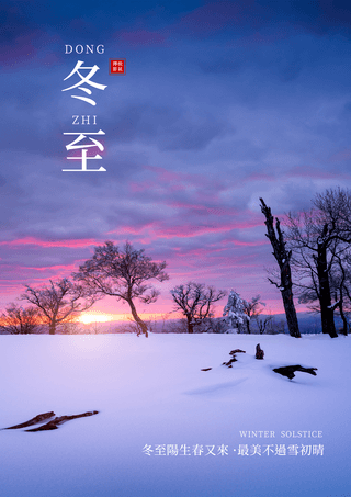 冬至中国传统节气海报模板_雪景冬至传统节气摄影图宣传海报