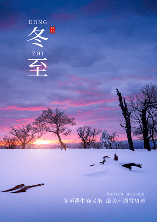 雪景冬至传统节气摄影图宣传海报