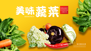 健康类海报模板_有机蔬菜健康绿色食品美食餐饮网页横幅