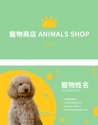 套帽子的小狗海报模板_宠物商店名片模版浅绿色背景
