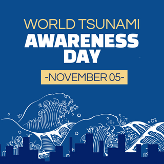 world tsunami awareness day 节日社交媒体