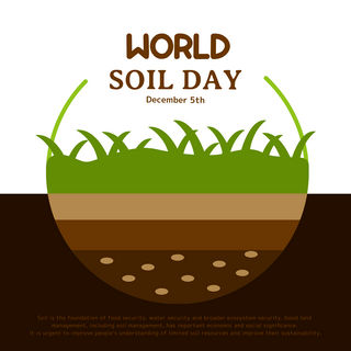 土壤豆子海报模板_手绘卡通土壤层世界土壤日节日社交模板