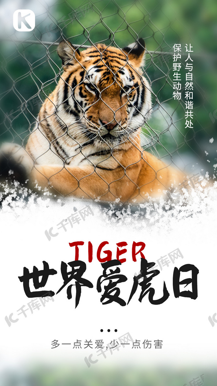 世界爱虎日老虎白色简约海报