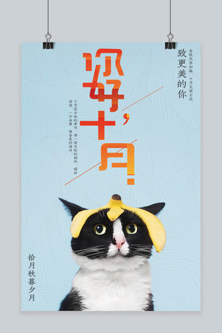 小猫站着海报模板_可爱小猫十月你好原创海报