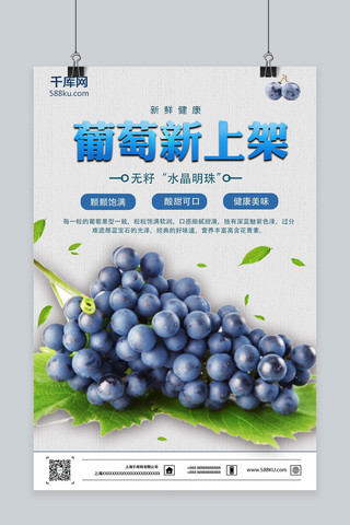 新书上架海报模板_蓝色葡萄新上架秋季水果葡萄海报
